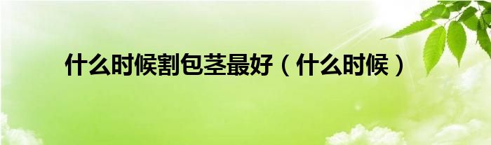 什么時候割包莖最好（什么時候）
