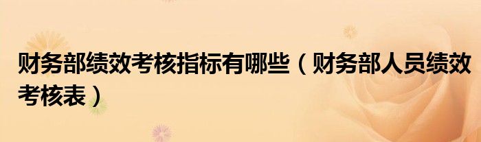 財(cái)務(wù)部績(jī)效考核指標(biāo)有哪些（財(cái)務(wù)部人員績(jī)效考核表）