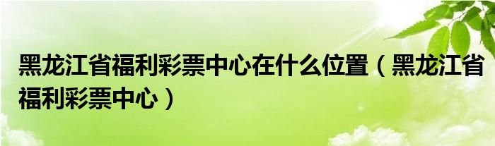 黑龍江省福利彩票中心在什么位置（黑龍江省福利彩票中心）