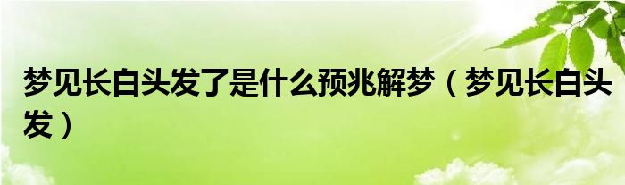 夢見長白頭發(fā)了是什么預兆解夢（夢見長白頭發(fā)）