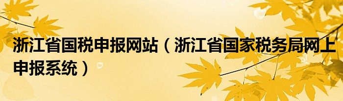 浙江省國稅申報網(wǎng)站（浙江省國家稅務(wù)局網(wǎng)上申報系統(tǒng)）