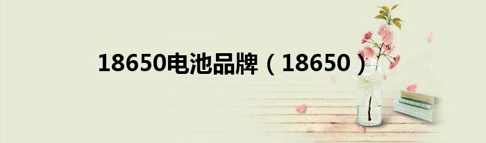 18650電池品牌（18650）