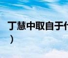 丁慧中取自于什么成語（丁慧中取自什么成語）