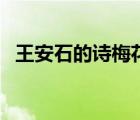 王安石的詩梅花書作品（王安石的詩梅花）