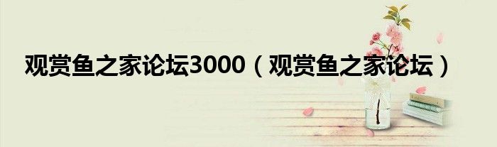 觀賞魚之家論壇3000（觀賞魚之家論壇）