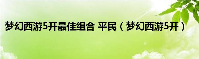 夢幻西游5開最佳組合 平民（夢幻西游5開）