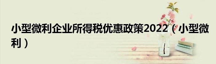小型微利企業(yè)所得稅優(yōu)惠政策2022（小型微利）