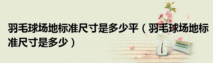 羽毛球場地標(biāo)準(zhǔn)尺寸是多少平（羽毛球場地標(biāo)準(zhǔn)尺寸是多少）