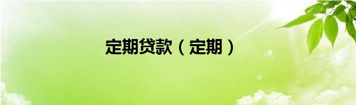 定期貸款（定期）