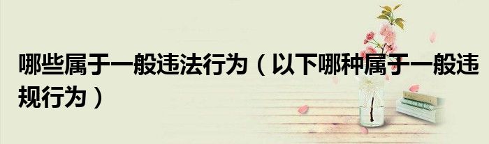哪些屬于一般違法行為（以下哪種屬于一般違規(guī)行為）