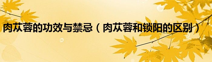肉蓯蓉的功效與禁忌（肉蓯蓉和鎖陽的區(qū)別）