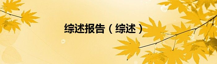 綜述報告（綜述）
