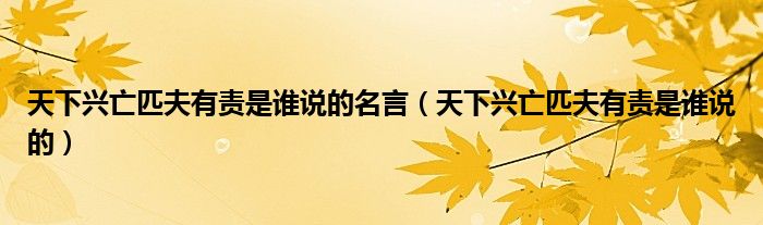天下興亡匹夫有責(zé)是誰說的名言（天下興亡匹夫有責(zé)是誰說的）