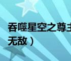 吞噬星空之尊主無敵的介紹（吞噬星空之尊主無敵）