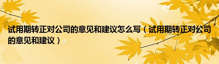 試用期轉(zhuǎn)正對(duì)公司的意見和建議怎么寫（試用期轉(zhuǎn)正對(duì)公司的意見和建議）