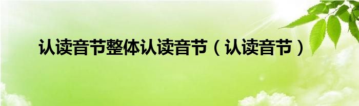 認讀音節(jié)整體認讀音節(jié)（認讀音節(jié)）