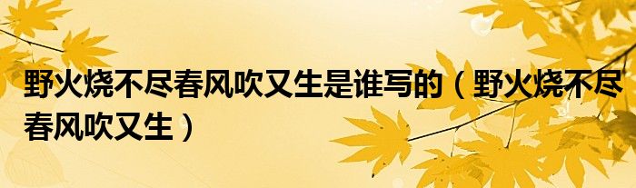 野火燒不盡春風(fēng)吹又生是誰寫的（野火燒不盡春風(fēng)吹又生）