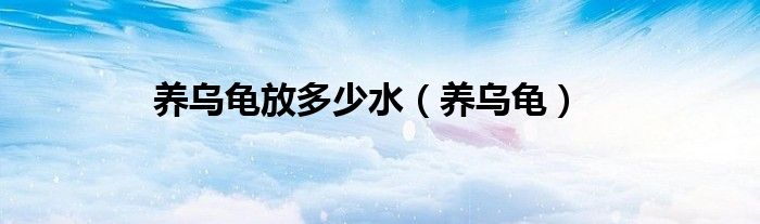 養(yǎng)烏龜放多少水（養(yǎng)烏龜）