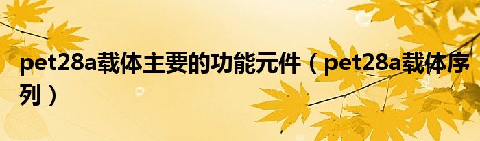 pet28a載體主要的功能元件（pet28a載體序列）