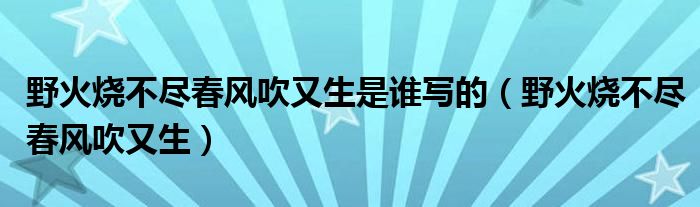 野火燒不盡春風(fēng)吹又生是誰(shuí)寫(xiě)的（野火燒不盡春風(fēng)吹又生）