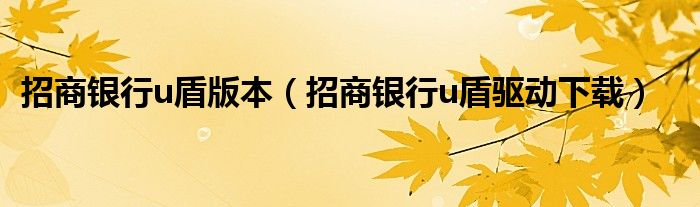 招商銀行u盾版本（招商銀行u盾驅(qū)動(dòng)下載）