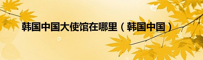 韓國中國大使館在哪里（韓國中國）