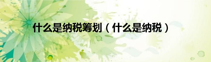 什么是納稅籌劃（什么是納稅）