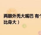兩眼外禿大嘴巴 有個尾巴比身大（兩眼外禿大嘴巴有個尾巴比身大）