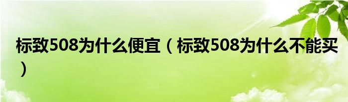 標(biāo)致508為什么便宜（標(biāo)致508為什么不能買）