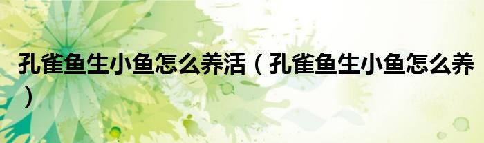 孔雀魚生小魚怎么養(yǎng)活（孔雀魚生小魚怎么養(yǎng)）