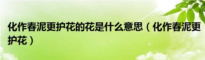 化作春泥更護花的花是什么意思（化作春泥更護花）
