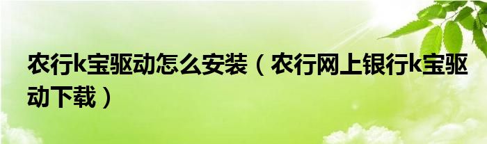 農(nóng)行k寶驅(qū)動怎么安裝（農(nóng)行網(wǎng)上銀行k寶驅(qū)動下載）