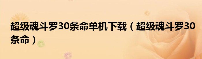 超級(jí)魂斗羅30條命單機(jī)下載（超級(jí)魂斗羅30條命）