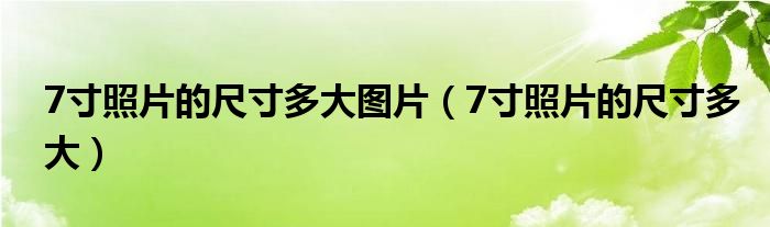 7寸照片的尺寸多大圖片（7寸照片的尺寸多大）