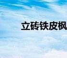 立磚鐵皮楓斗價格（鐵皮楓斗價格）