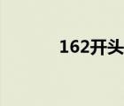 162開頭的是什么電話（162）