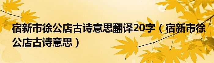 宿新市徐公店古詩意思翻譯20字（宿新市徐公店古詩意思）