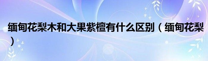 緬甸花梨木和大果紫檀有什么區(qū)別（緬甸花梨）
