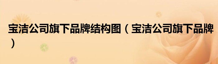寶潔公司旗下品牌結(jié)構(gòu)圖（寶潔公司旗下品牌）