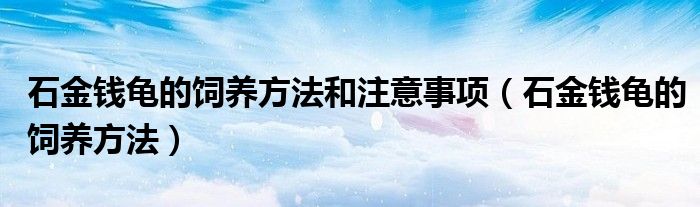 石金錢龜?shù)娘曫B(yǎng)方法和注意事項（石金錢龜?shù)娘曫B(yǎng)方法）