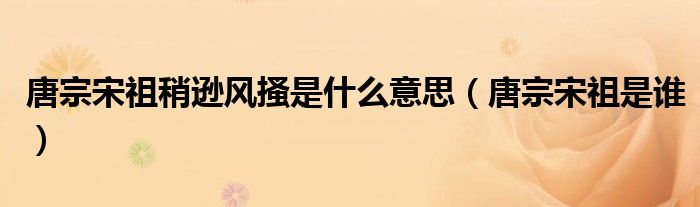 唐宗宋祖稍遜風(fēng)搔是什么意思（唐宗宋祖是誰(shuí)）