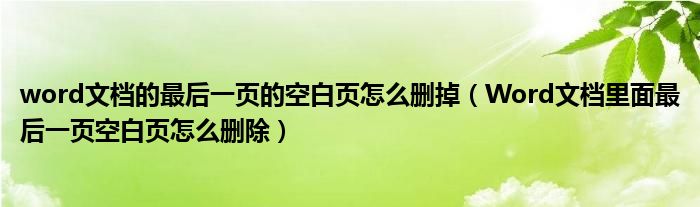 word文檔的最后一頁的空白頁怎么刪掉（Word文檔里面最后一頁空白頁怎么刪除）