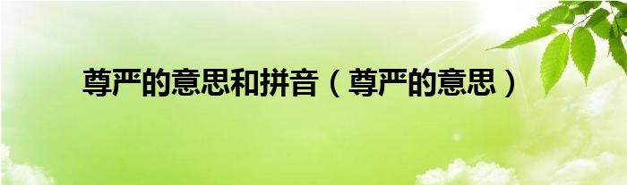 尊嚴(yán)的意思和拼音（尊嚴(yán)的意思）