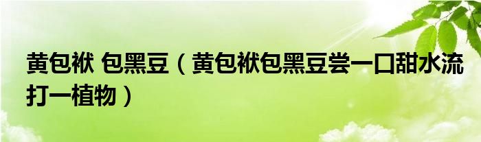 黃包袱 包黑豆（黃包袱包黑豆嘗一口甜水流打一植物）