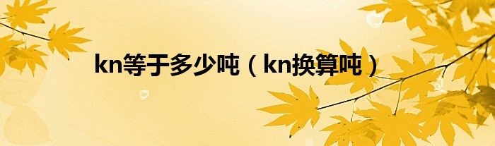 kn等于多少噸（kn換算噸）