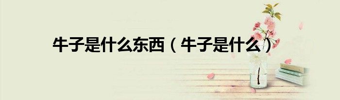 牛子是什么東西（牛子是什么）