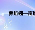 養(yǎng)蚯蚓一畝地要投資多少錢（養(yǎng)蚯蚓）