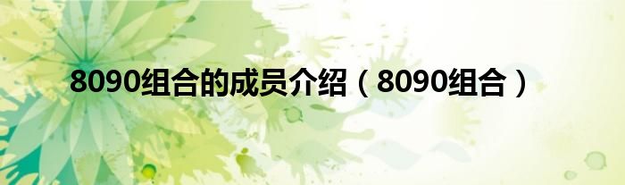 8090組合的成員介紹（8090組合）