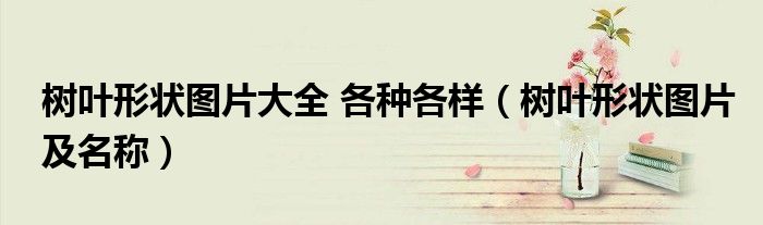樹葉形狀圖片大全 各種各樣（樹葉形狀圖片及名稱）