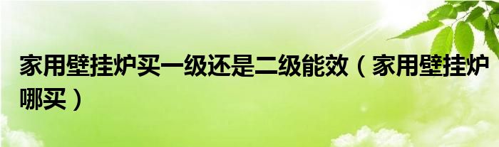 家用壁掛爐買一級還是二級能效（家用壁掛爐哪買）